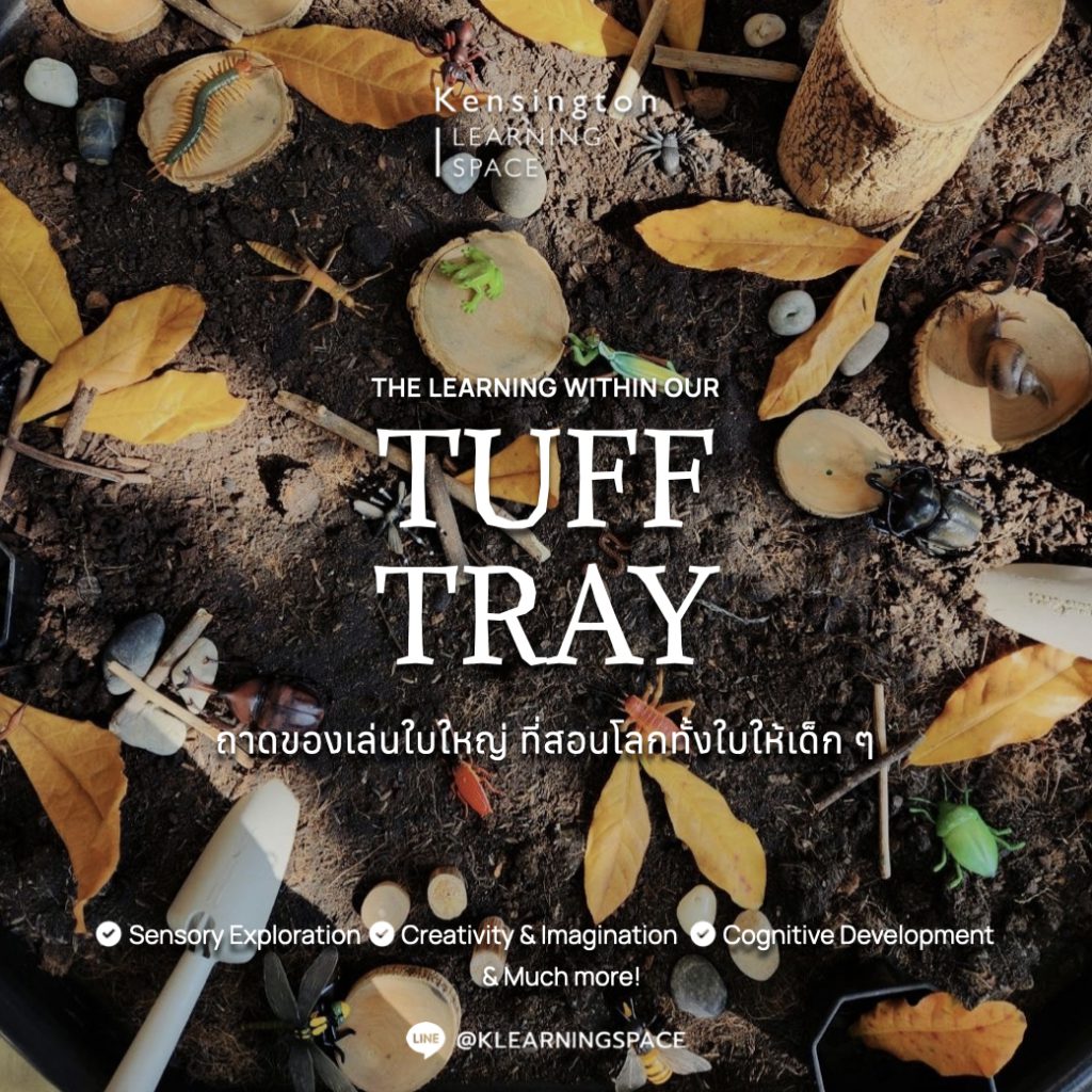 Tuff Tray.001