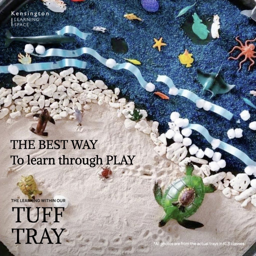 Tuff Tray.011