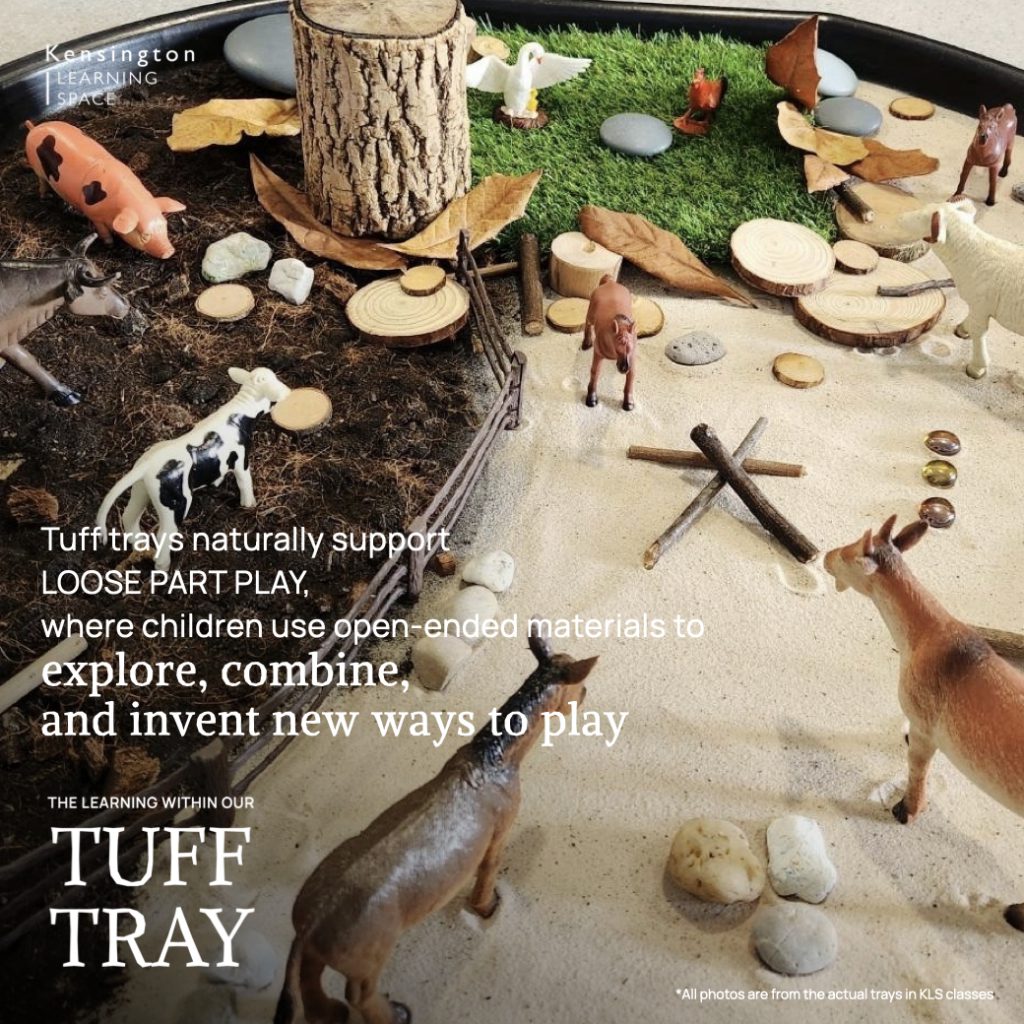 Tuff Tray.012