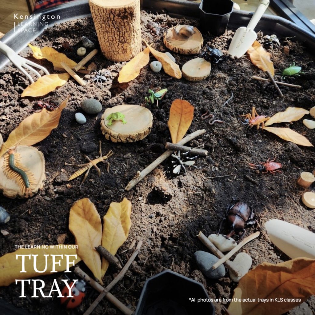 Tuff Tray.014