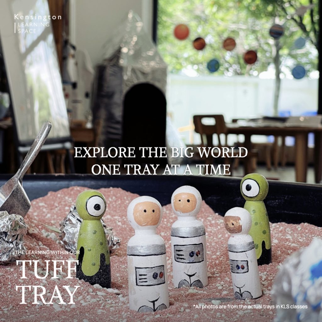 Tuff Tray.020