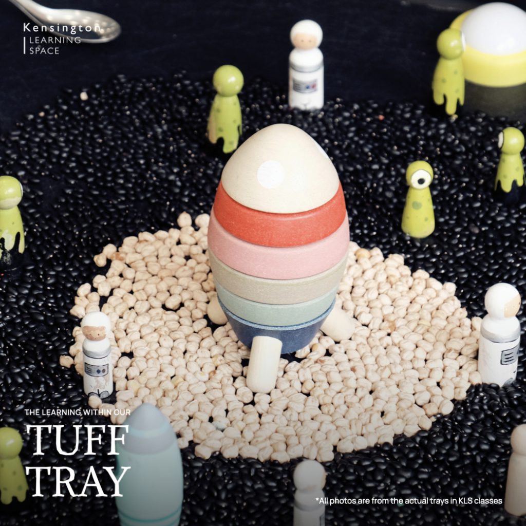 Tuff Tray.021