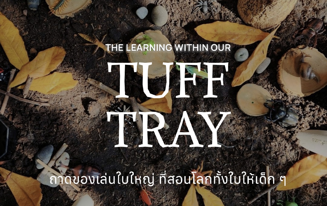 What is a Tuff Tray