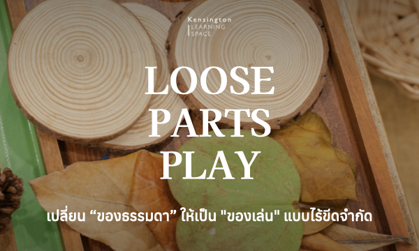 loose part cover 1.001
