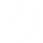 JOYFUL ENGAGEMENT